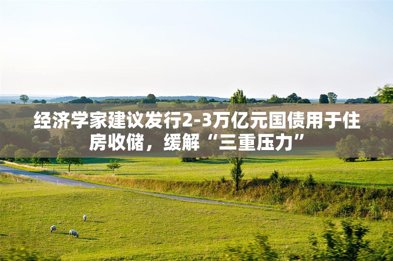 经济学家建议发行2-3万亿元国债用于住房收储，缓解“三重压力”