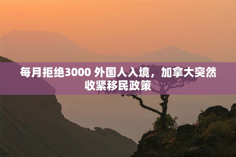 每月拒绝3000 外国人入境，加拿大突然收紧移民政策