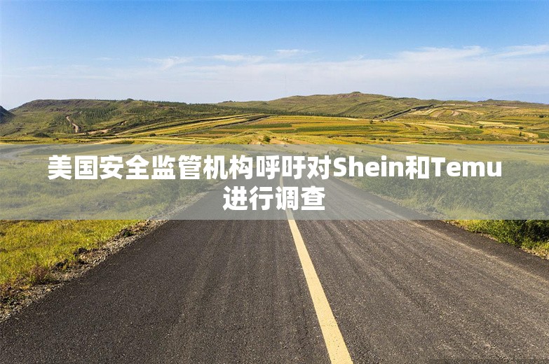 美国安全监管机构呼吁对Shein和Temu进行调查