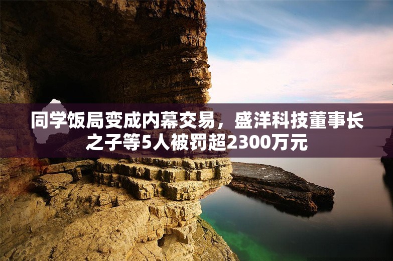 同学饭局变成内幕交易，盛洋科技董事长之子等5人被罚超2300万元