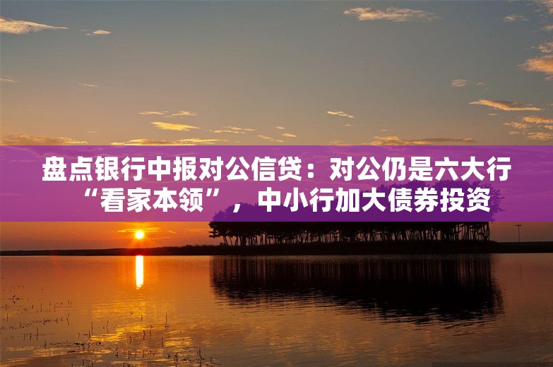 盘点银行中报对公信贷：对公仍是六大行“看家本领”，中小行加大债券投资