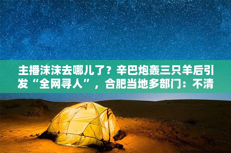 主播沫沫去哪儿了？辛巴炮轰三只羊后引发“全网寻人”，合肥当地多部门：不清楚