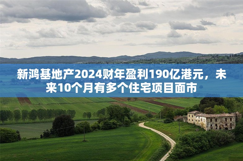 新鸿基地产2024财年盈利190亿港元，未来10个月有多个住宅项目面市