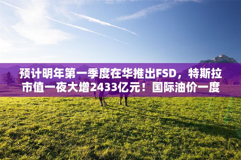 预计明年第一季度在华推出FSD，特斯拉市值一夜大增2433亿元！国际油价一度跌破警戒线，欧佩克 官宣：再延期