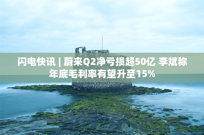 闪电快讯 | 蔚来Q2净亏损超50亿 李斌称年底毛利率有望升至15%