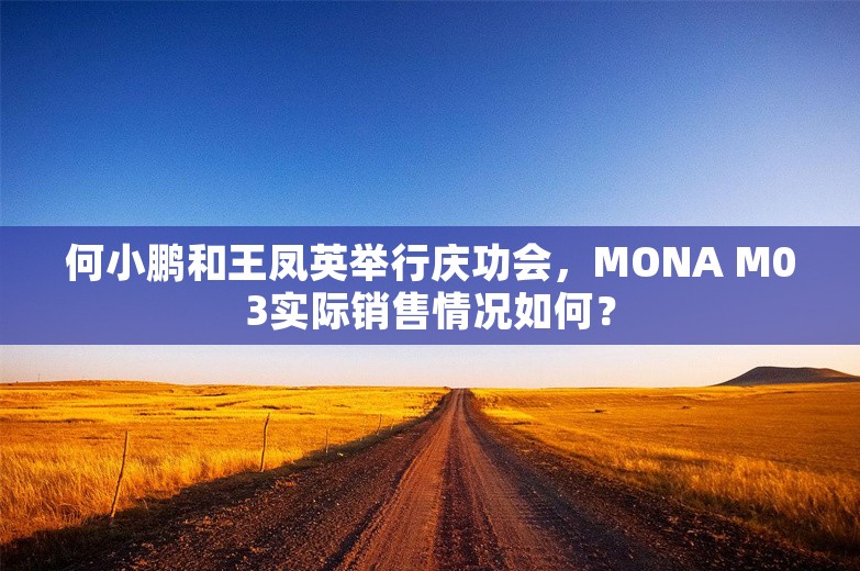 何小鹏和王凤英举行庆功会，MONA M03实际销售情况如何？