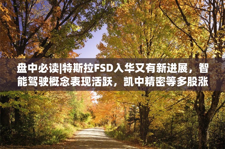 盘中必读|特斯拉FSD入华又有新进展，智能驾驶概念表现活跃，凯中精密等多股涨停