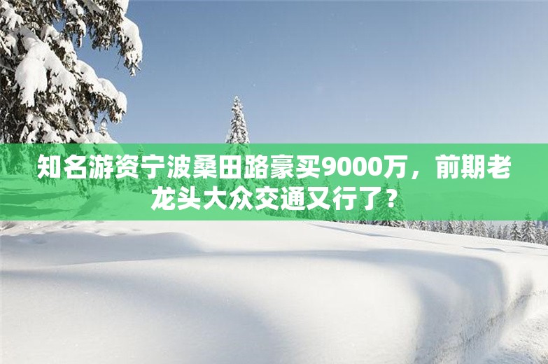 知名游资宁波桑田路豪买9000万，前期老龙头大众交通又行了？