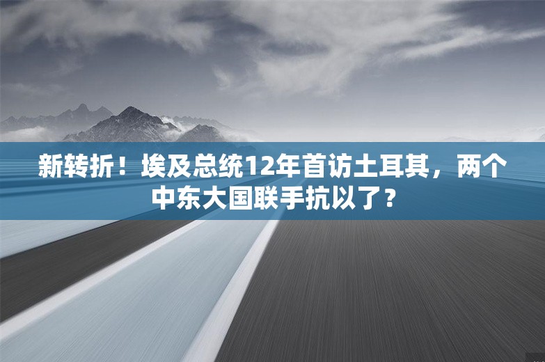 新转折！埃及总统12年首访土耳其，两个中东大国联手抗以了？