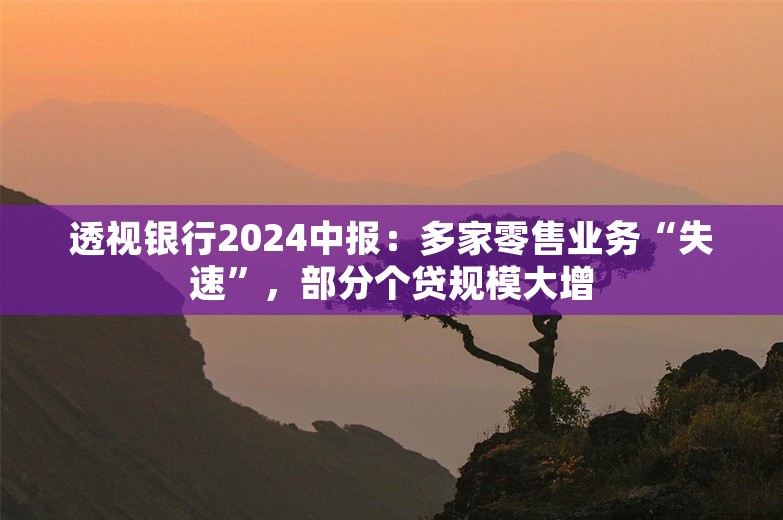 透视银行2024中报：多家零售业务“失速”，部分个贷规模大增