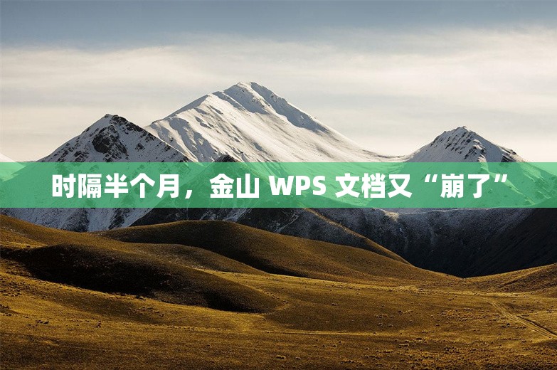 时隔半个月，金山 WPS 文档又“崩了”