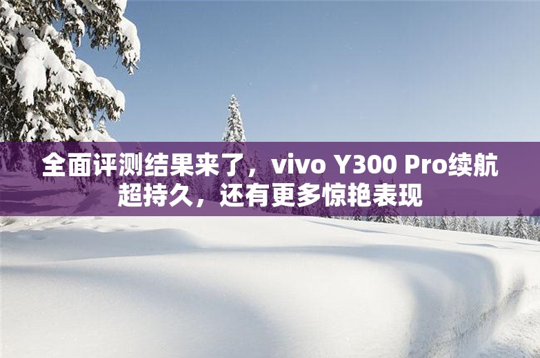 全面评测结果来了，vivo Y300 Pro续航超持久，还有更多惊艳表现