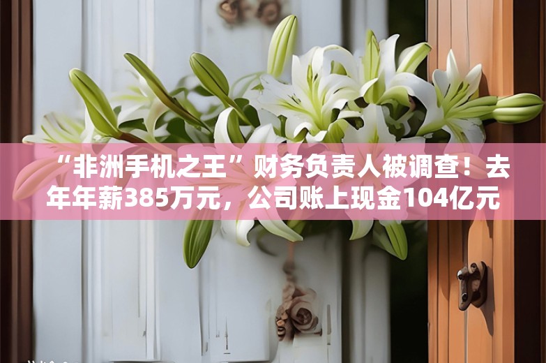 “非洲手机之王”财务负责人被调查！去年年薪385万元，公司账上现金104亿元，总市值达916亿元