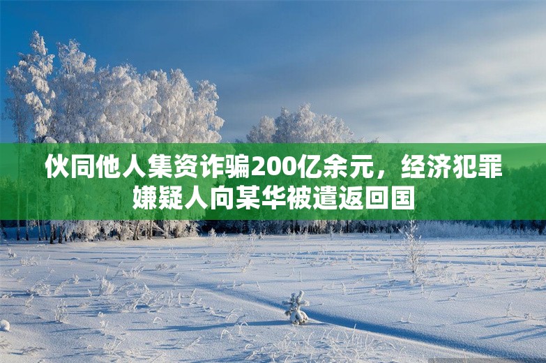 伙同他人集资诈骗200亿余元，经济犯罪嫌疑人向某华被遣返回国