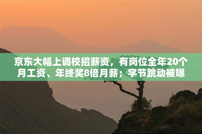 京东大幅上调校招薪资，有岗位全年20个月工资、年终奖8倍月薪；字节跳动被曝寻求95亿美元贷款；英特尔计划裁员数千人丨雷峰早报