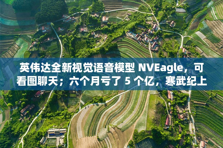 英伟达全新视觉语音模型 NVEagle，可看图聊天；六个月亏了 5 个亿，寒武纪上半年营收仅 6476 万丨AI情报局