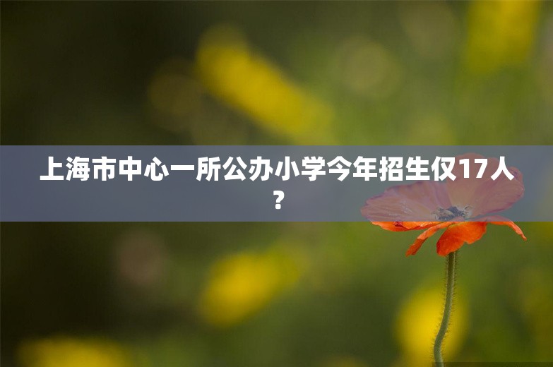 上海市中心一所公办小学今年招生仅17人？