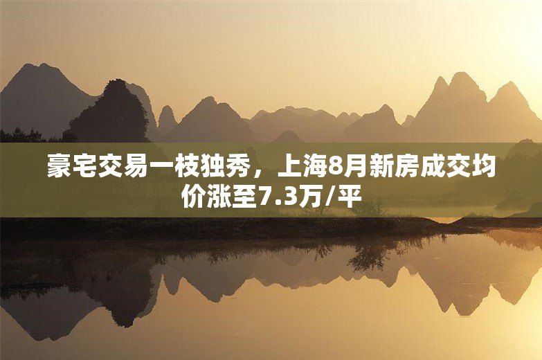 豪宅交易一枝独秀，上海8月新房成交均价涨至7.3万/平