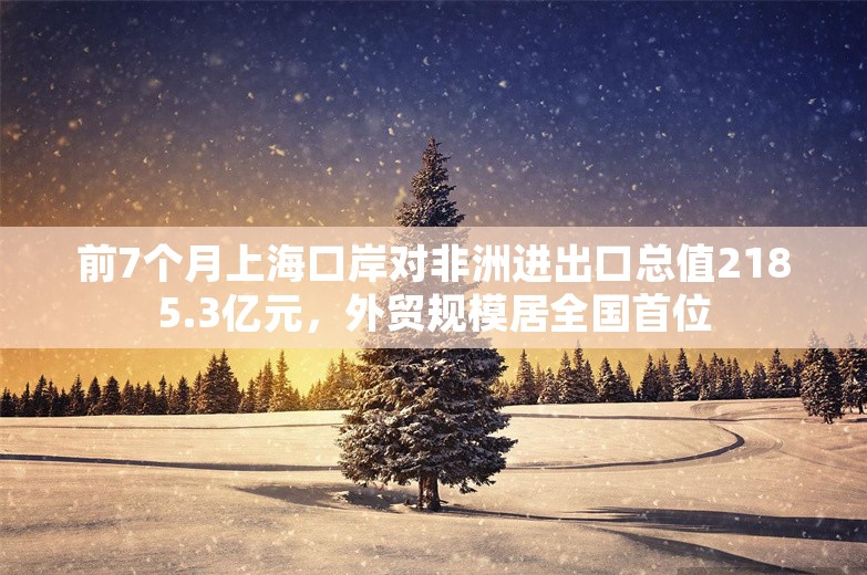 前7个月上海口岸对非洲进出口总值2185.3亿元，外贸规模居全国首位