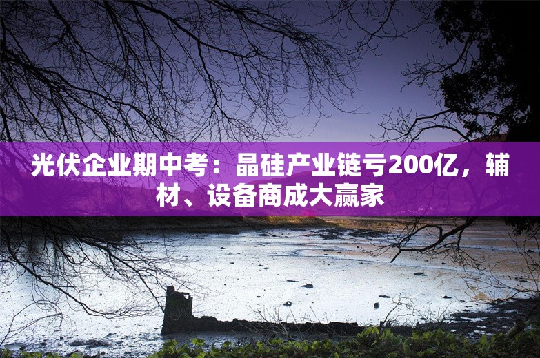 光伏企业期中考：晶硅产业链亏200亿，辅材、设备商成大赢家