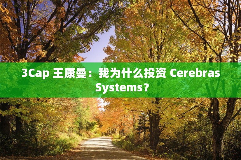 3Cap 王康曼：我为什么投资 Cerebras Systems？