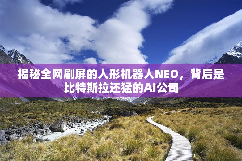 揭秘全网刷屏的人形机器人NEO，背后是比特斯拉还猛的AI公司