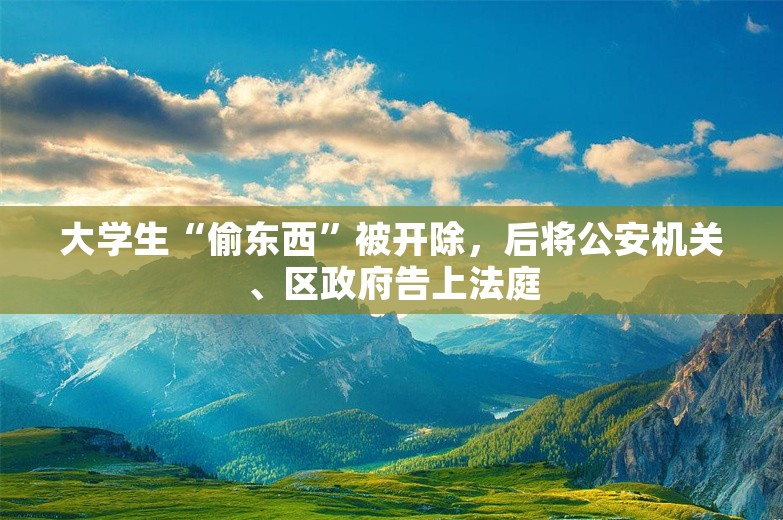 大学生“偷东西”被开除，后将公安机关、区政府告上法庭