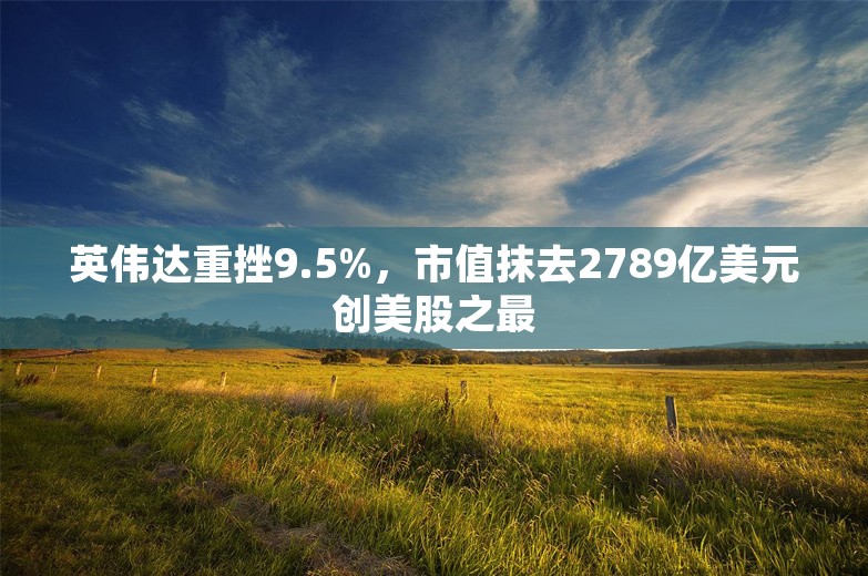 英伟达重挫9.5%，市值抹去2789亿美元创美股之最