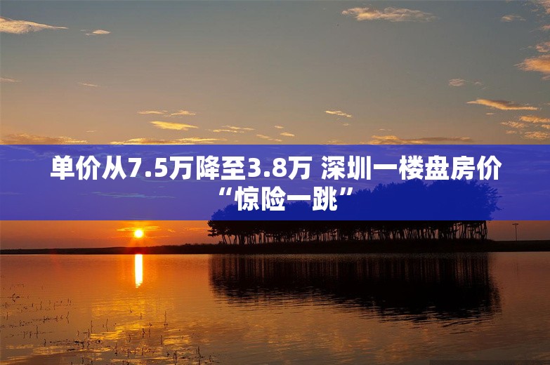 单价从7.5万降至3.8万 深圳一楼盘房价“惊险一跳”