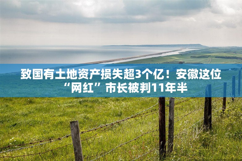 致国有土地资产损失超3个亿！安徽这位“网红”市长被判11年半