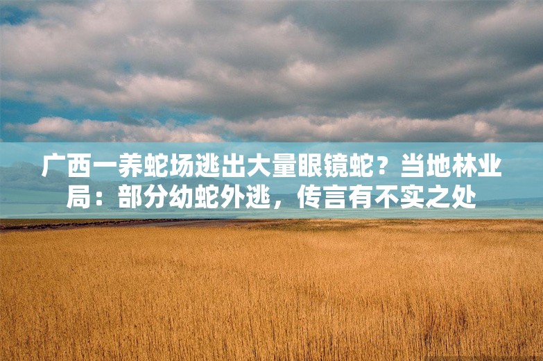 广西一养蛇场逃出大量眼镜蛇？当地林业局：部分幼蛇外逃，传言有不实之处