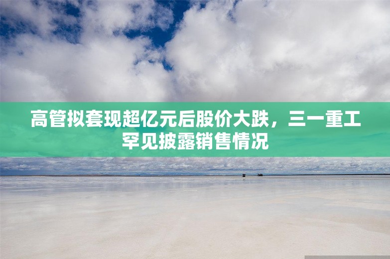 高管拟套现超亿元后股价大跌，三一重工罕见披露销售情况