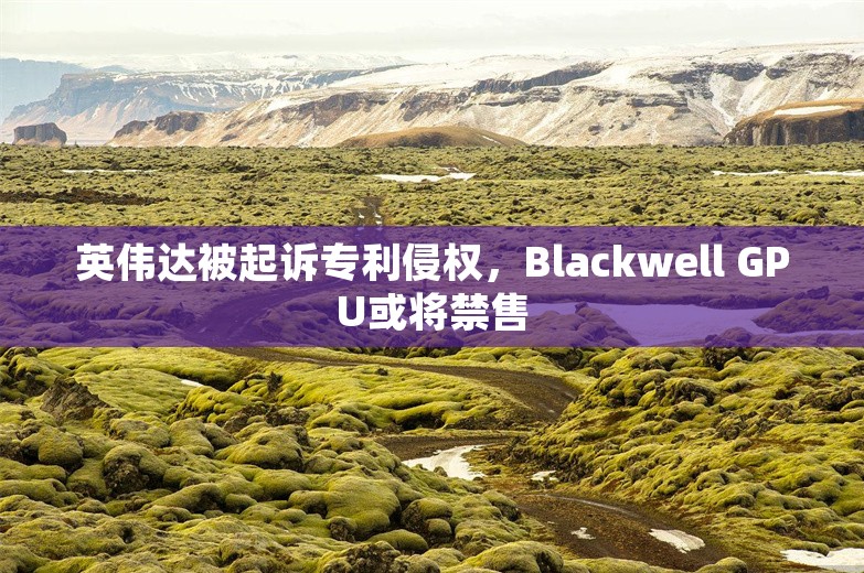 英伟达被起诉专利侵权，Blackwell GPU或将禁售