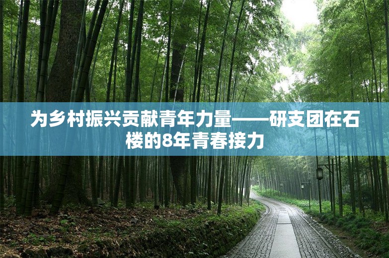 为乡村振兴贡献青年力量——研支团在石楼的8年青春接力