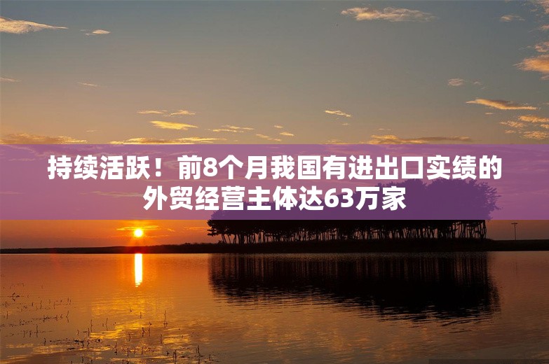 持续活跃！前8个月我国有进出口实绩的外贸经营主体达63万家