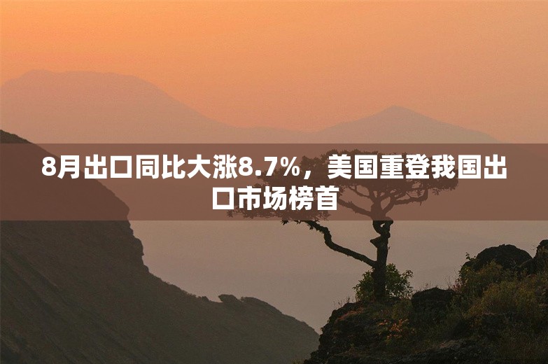 8月出口同比大涨8.7%，美国重登我国出口市场榜首