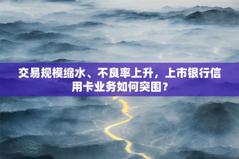 交易规模缩水、不良率上升，上市银行信用卡业务如何突围？