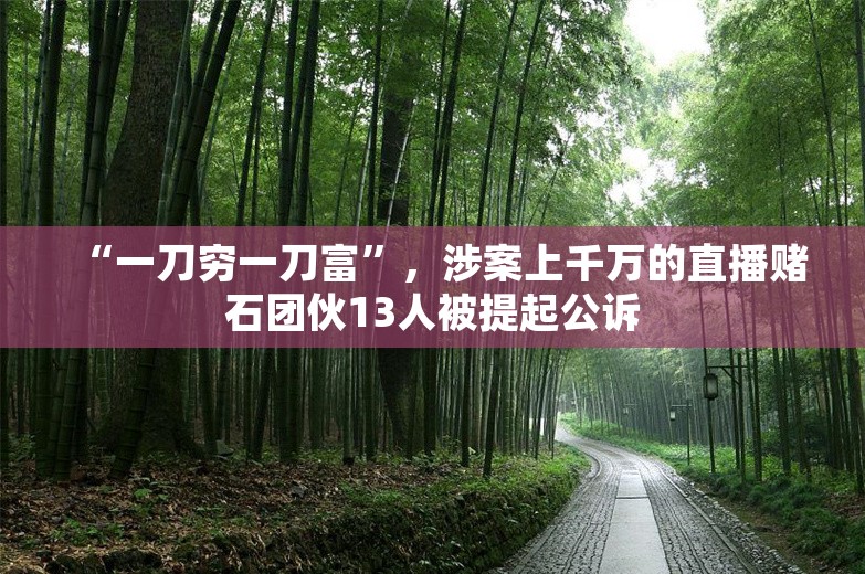 “一刀穷一刀富”，涉案上千万的直播赌石团伙13人被提起公诉