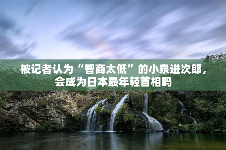 被记者认为“智商太低”的小泉进次郎，会成为日本最年轻首相吗