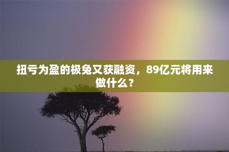 扭亏为盈的极兔又获融资，89亿元将用来做什么？