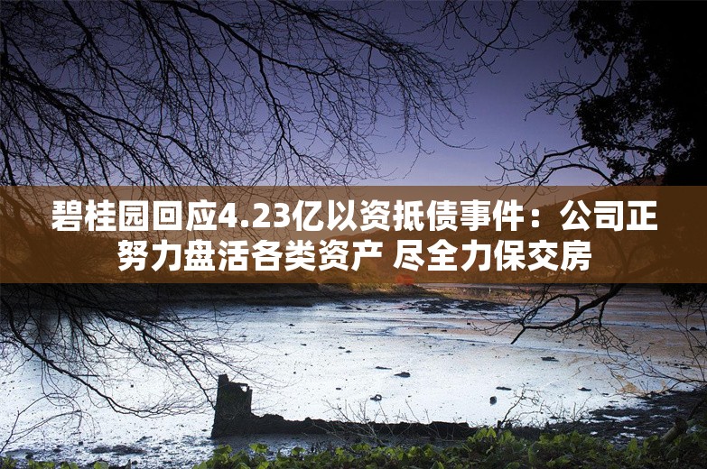 碧桂园回应4.23亿以资抵债事件：公司正努力盘活各类资产 尽全力保交房