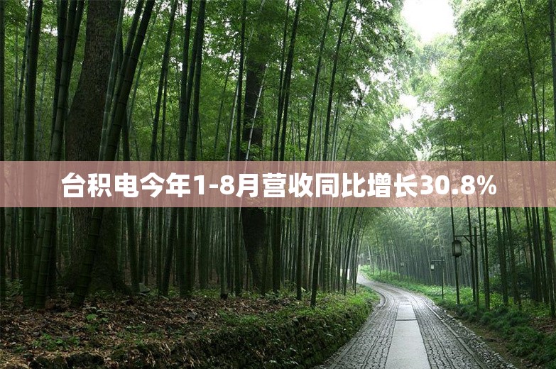 台积电今年1-8月营收同比增长30.8%