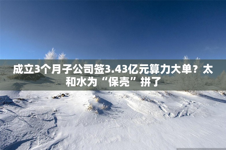 成立3个月子公司签3.43亿元算力大单？太和水为“保壳”拼了