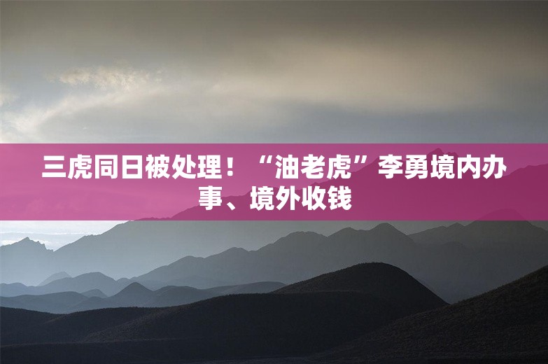 三虎同日被处理！“油老虎”李勇境内办事、境外收钱