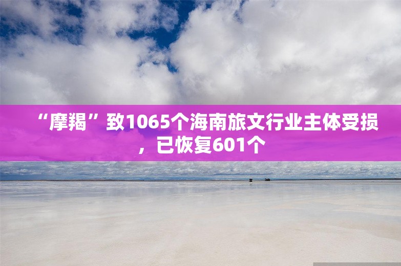 “摩羯”致1065个海南旅文行业主体受损，已恢复601个