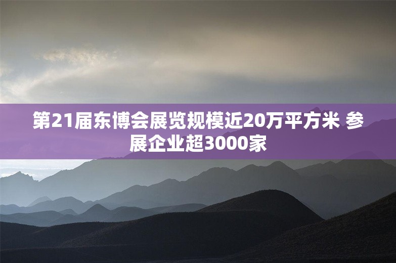 第21届东博会展览规模近20万平方米 参展企业超3000家