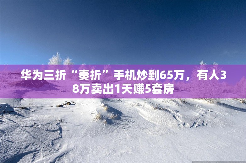 华为三折“奏折”手机炒到65万，有人38万卖出1天赚5套房