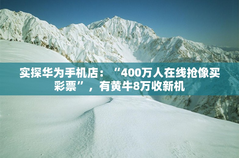 实探华为手机店：“400万人在线抢像买彩票”，有黄牛8万收新机