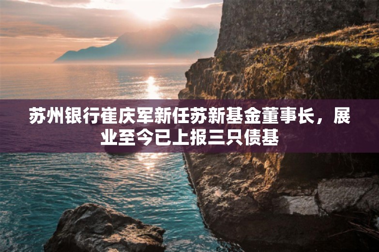 苏州银行崔庆军新任苏新基金董事长，展业至今已上报三只债基