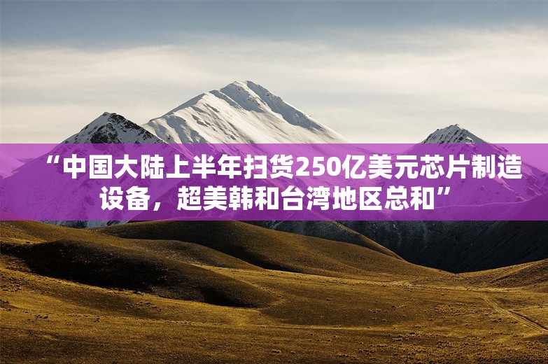 “中国大陆上半年扫货250亿美元芯片制造设备，超美韩和台湾地区总和”